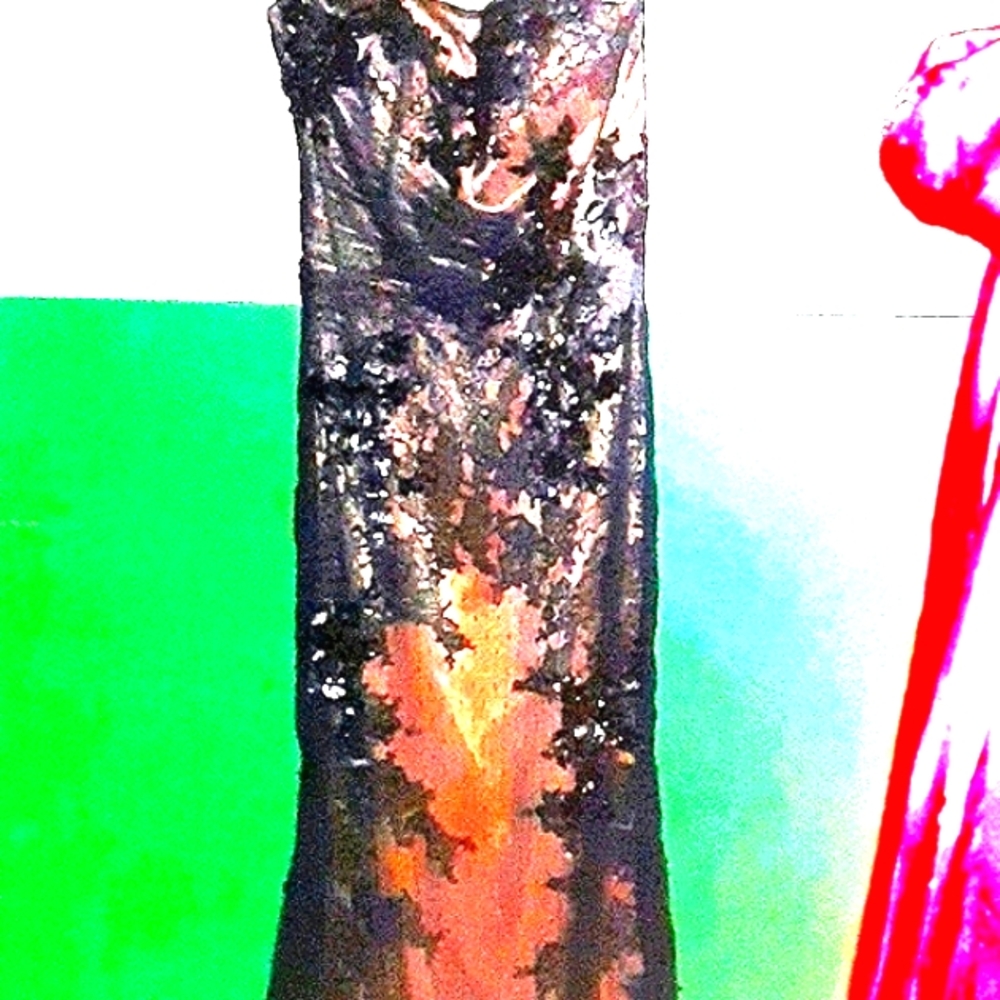 Black lace formal dress